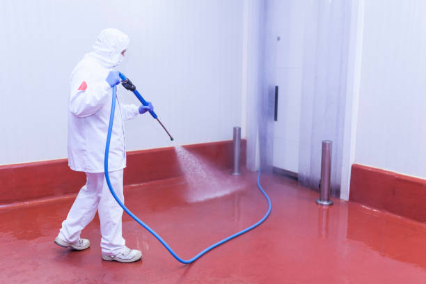 Best Machinery and Equipment Cleaning  in Hildale, UT